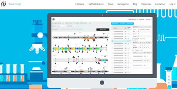 押注下一個(gè)前沿 合成生物領(lǐng)域創(chuàng)新與投資趨勢