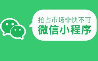 深圳小程序開發(fā)公司